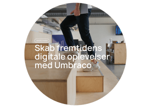 Whitepaper_foto (13)