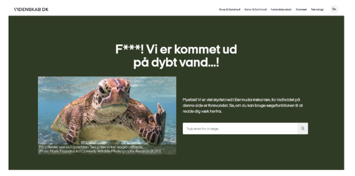 Skærmbillede 2024-07-04 kl. 14.36.23