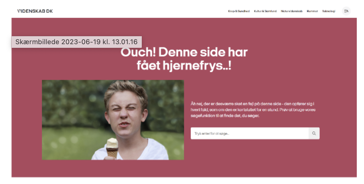 Skærmbillede 2024-07-04 kl. 14.36.29