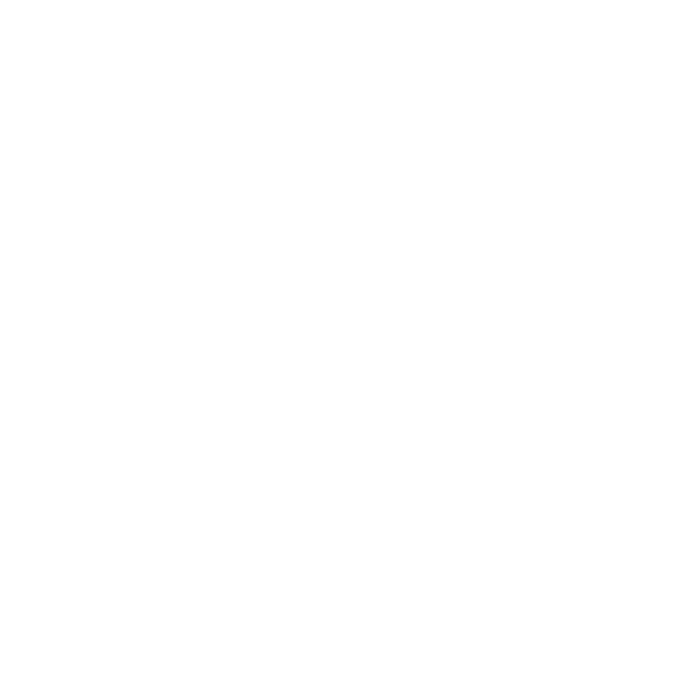 dmi.dk-logo