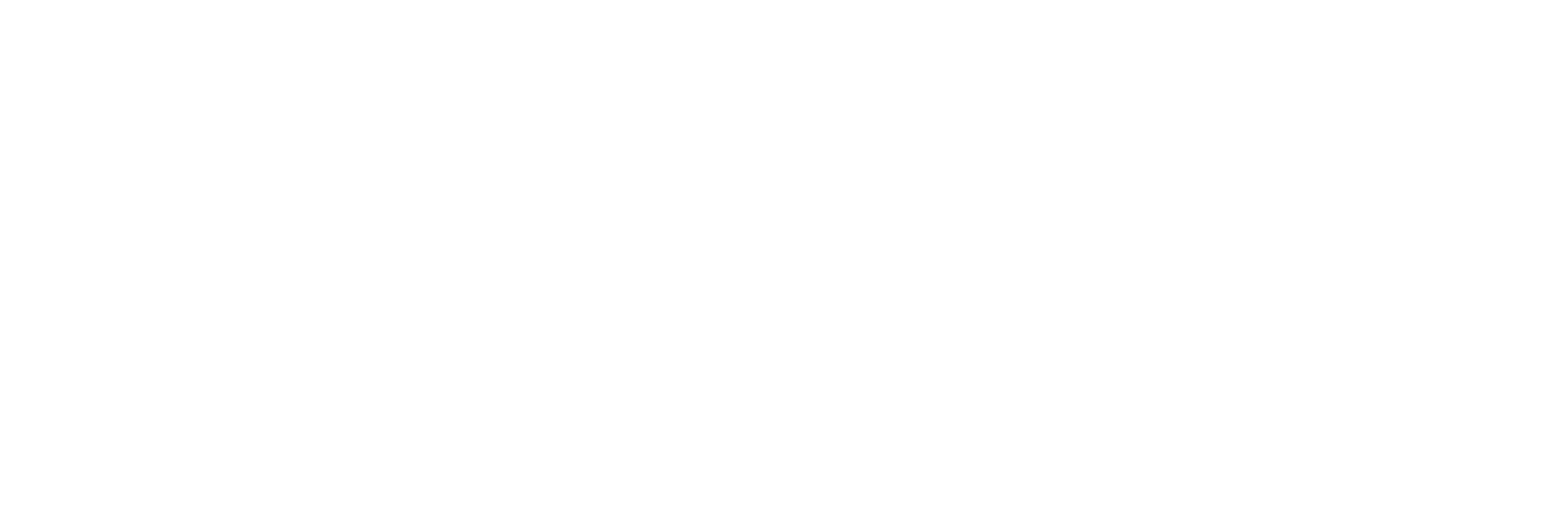 google-white-logo